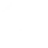 Skill Icon Wordpress